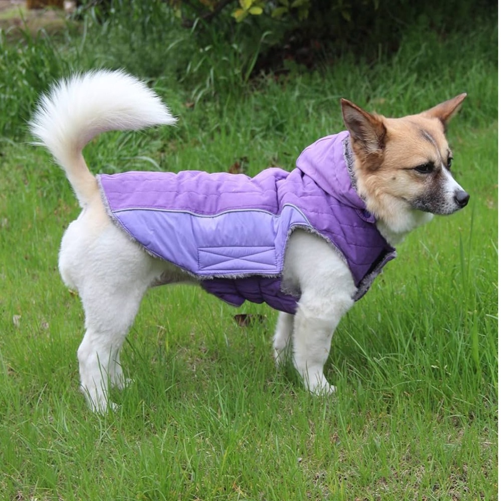 JOYDAOG Fleece Dog Hoodie - Size LARGE